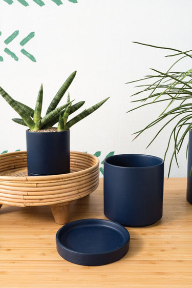 Outdoor & Garden