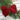 6in Red Velvet Bow with Clip