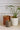 E+E animal pot huggers decorating assorted indoor planters for holiday styling