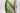 Spool of green and white striped ribbon on a white background