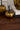 Gold pumpkins with black stems on a wooden surface