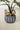 Gold mushroom plant sticks styled in a gray speckled planter with green houseplant