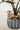 Whimsical gold mushroom plant stakes displayed in a textured gray ceramic planter