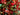 Ribbon