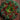 Wreaths