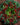 Wreaths