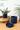 Outdoor & Garden