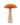 Mushroom Decor Collection