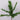 10" Cedar Pick – Green