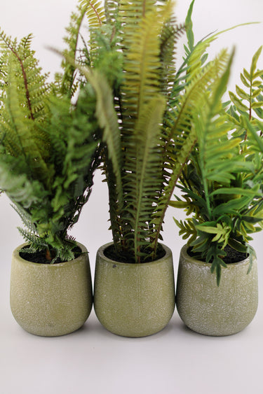 Potted Fern Collection – Artificial Greenery (Set of 3)
