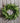 12-inch faux cedar wreath with realistic green branches on rustic wood background