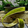 Moss green velvet wired ribbon with a light gold backing on a 1-inch by 10-yard roll.