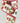 2.5" x 10YD Nutcracker Ribbon - White/Red/Green/Blue/Black