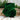Emerald green velvet dot wired ribbon with faux dupioni backing on a 2.5-inch by 10-yard roll.