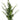 20.5" Arborvitae Spray