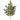 24" Green/Gold Bay Leaf Spray