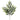 27" Smilax Spray