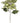 29-inch soft green beaded poinsettia stem with glitter accents for holiday decorating