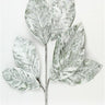 32-inch snowy silver and white magnolia leaf spray for winter decor