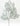 32-inch snowy silver and white magnolia leaf spray for winter decor