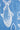 White fish illustrations on a blue textured ribbon