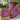 Plum velvet ribbon with gold backing, 4" x 10 yards