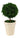 13-inch tall preserved cypress ball topiary in grey clay pot