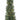 6' Wheeler Spruce Slim Potted Tree, Pre-Lit