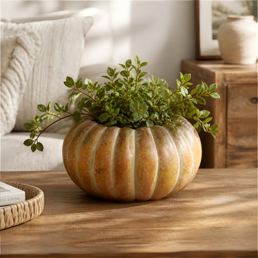 Cement Pumpkin Planter Pot – Rustic Fall Decor, 7.5 Inch