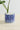 Blue and white fish planter with a plant on a light wooden surface.