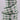 Harlequin Faded Ribbon - Sage/Hunter - 2.5" x 10Y