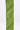 Green striped ribbon on a white background