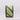 Green and white striped ribbon on a white background