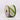 Spool of green and white striped ribbon on a white background