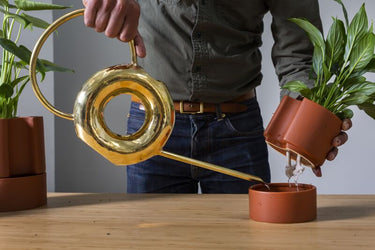 Jett Pot with Saucer