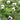 1" Round Mercury Glass Ball Ornaments - Silver Finish (Set of 30)