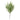 18" Norfolk Pine Pick