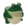 smiling frog planter cute ceramic frog plant pot green indoor decor