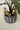 Set of 3 gold resin mushroom plant sticks with pointed stakes on white background