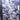 Geneva Deluxe Flower Ribbon - White/Navy - 2.5in x 10yds