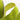 2.5"x10YD Green Apple Posh Wired Edge Ribbon