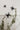 Black spider decorations on a white wall with greenery