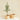 Hand-Woven Water Hyacinth Tree Collars, Natural, Set of 2